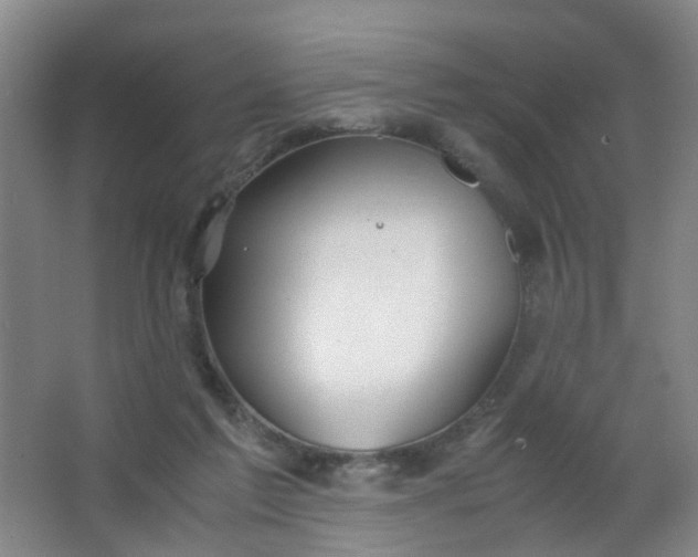 X0000063520213200602032118