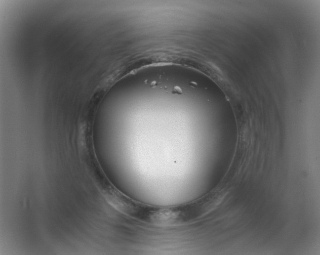 X0000063520217200602032118