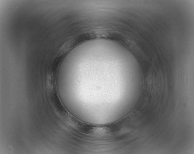 X0000063520218200602032118