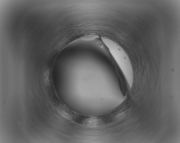 X0000063520219200602032118