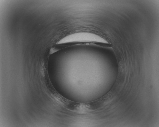 X0000063520223200602032118