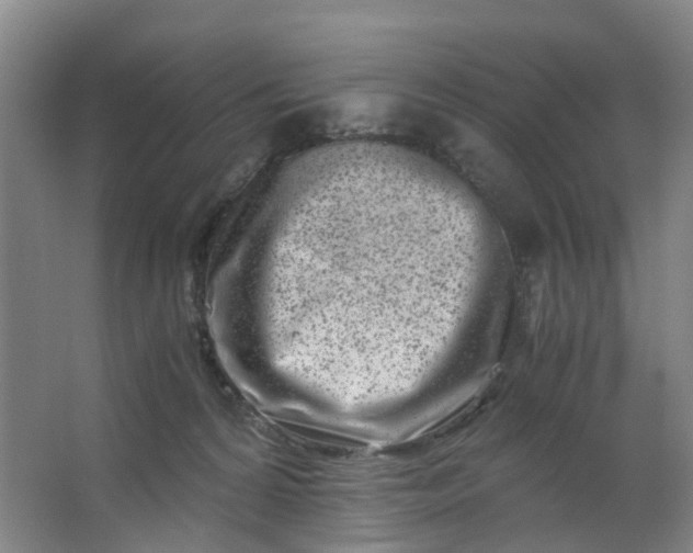 X0000063520224200602032118