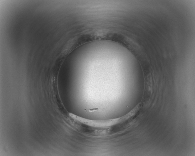 X0000063520225200602032118