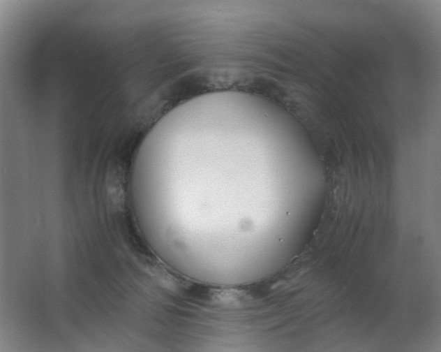 X0000063520226200602032118