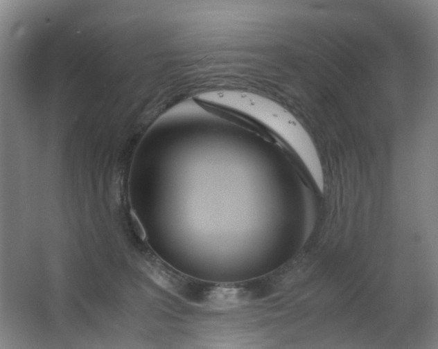 X0000063520227200602032118