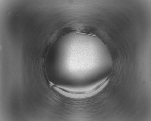 X0000063520229200602032118