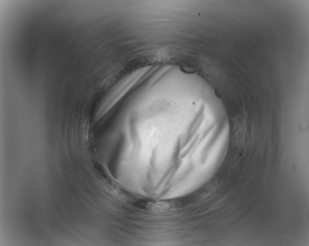 X0000063520230200602032118