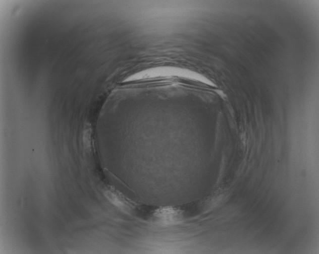 X0000063520231200602032118