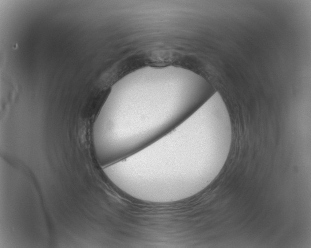 X0000063520233200602032118