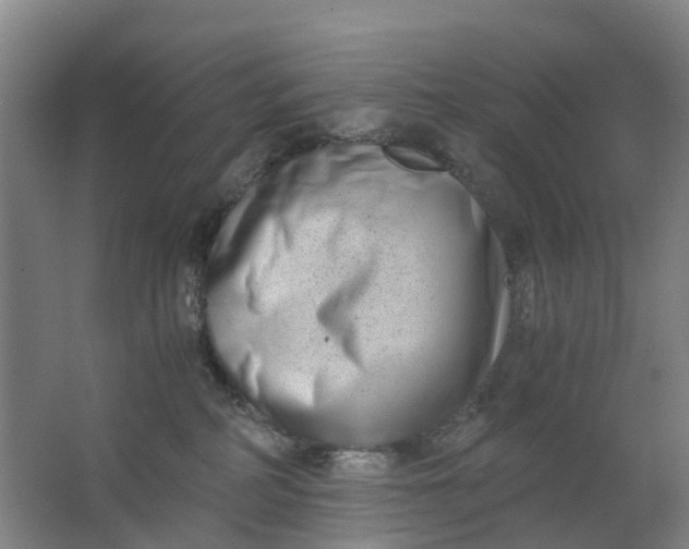 X0000063520234200602032118