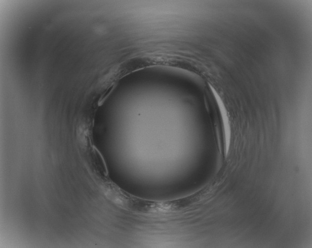 X0000063520235200602032118