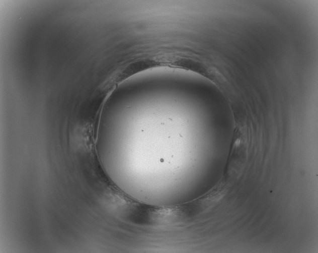 X0000063520237200602032118