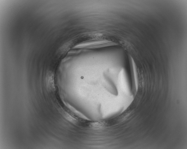 X0000063520238200602032118