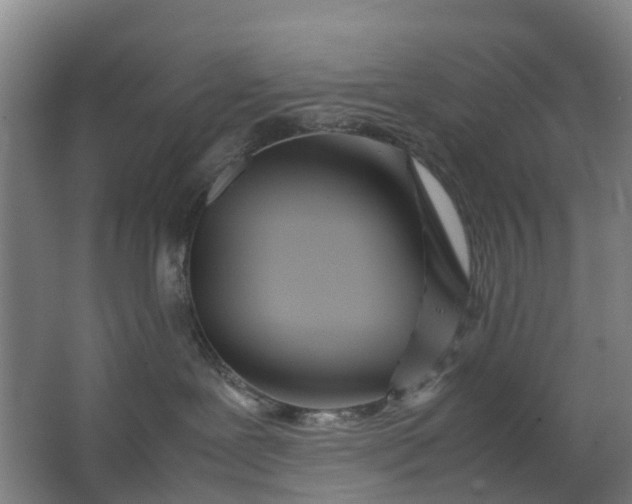 X0000063520239200602032118