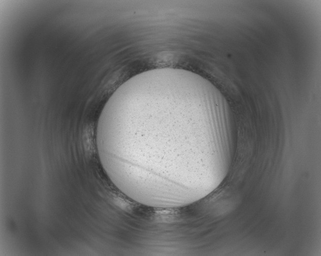 X0000063520240200602032118