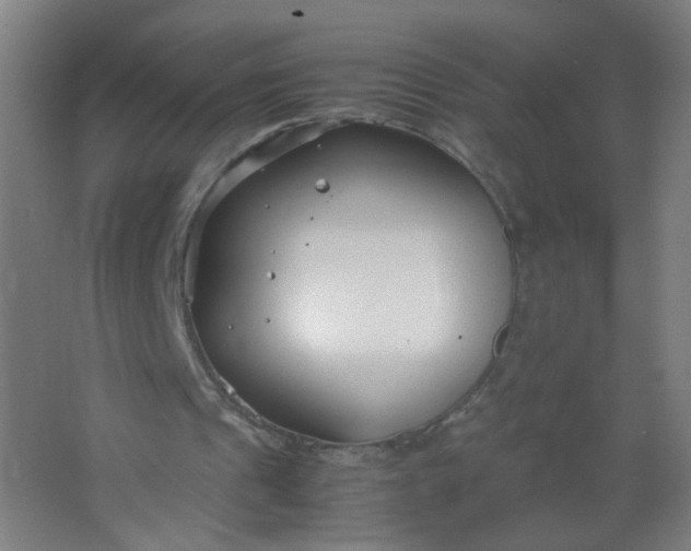 X0000063520241200602032117