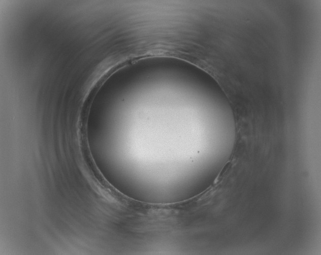 X0000063520242200602032117