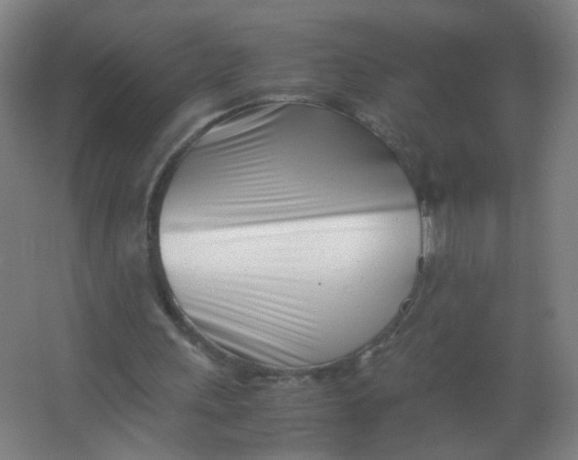 X0000063520243200602032117