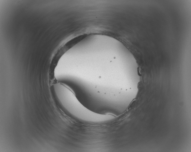 X0000063520244200602032117