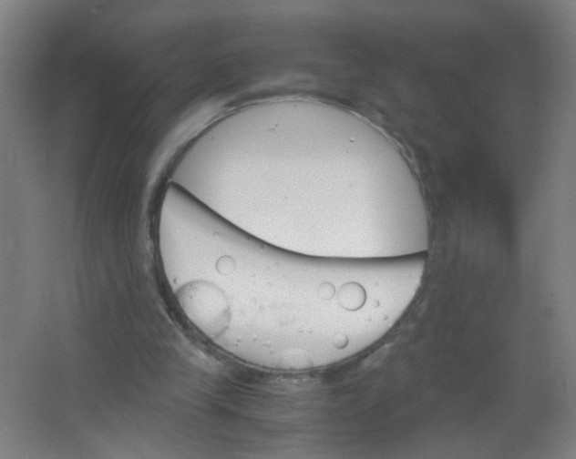 X0000063520245200602032117