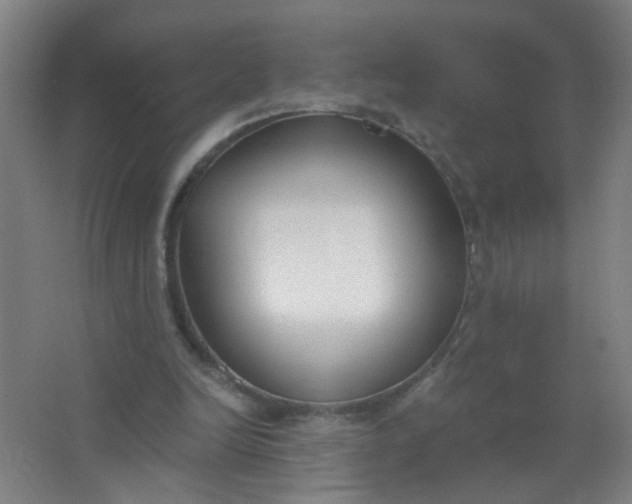 X0000063520246200602032117