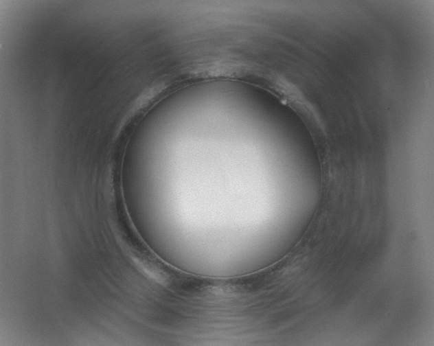 X0000063520250200602032117