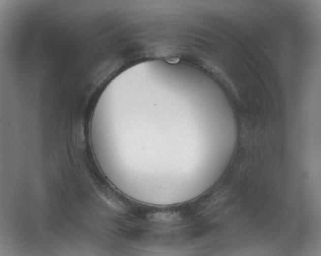 X0000063520251200602032117