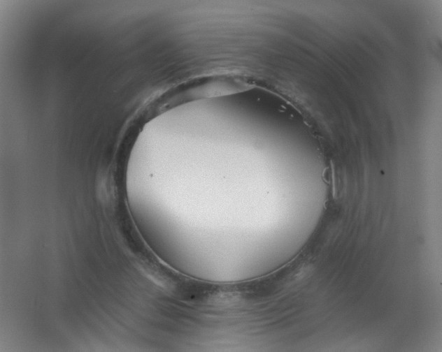 X0000063520252200602032117