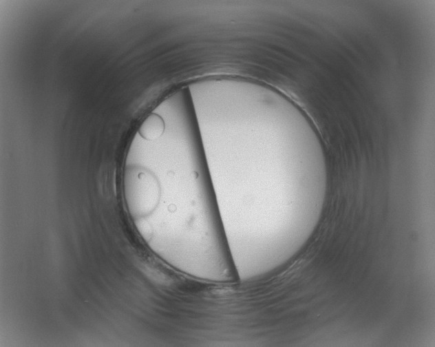 X0000063520253200602032117