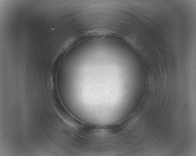 X0000063520254200602032117