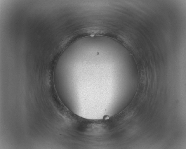 X0000063520255200602032117