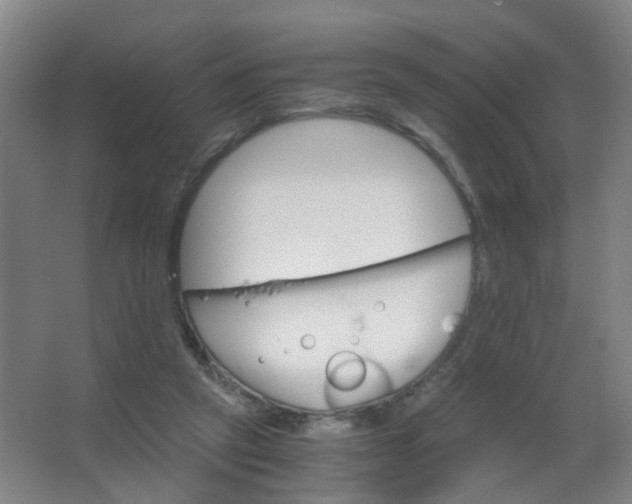 X0000063520257200602032117