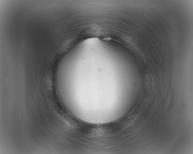 X0000063520259200602032117