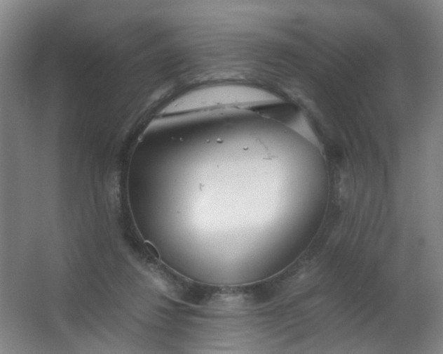 X0000063520260200602032117