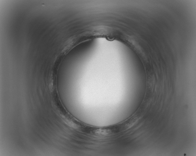 X0000063520261200602032117