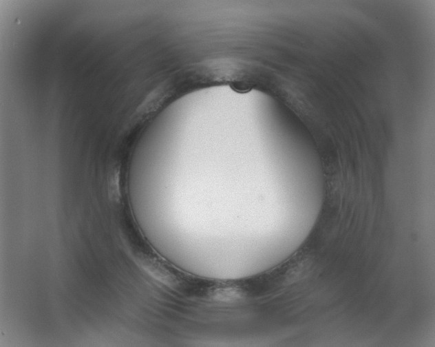 X0000063520262200602032117