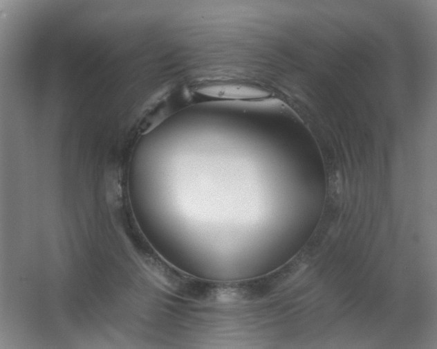 X0000063520264200602032117