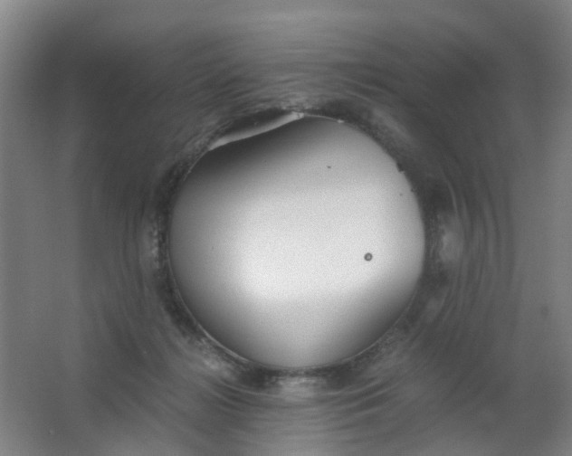 X0000063520268200602032117