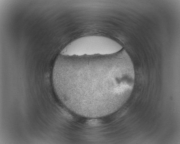 X0000063520269200602032117