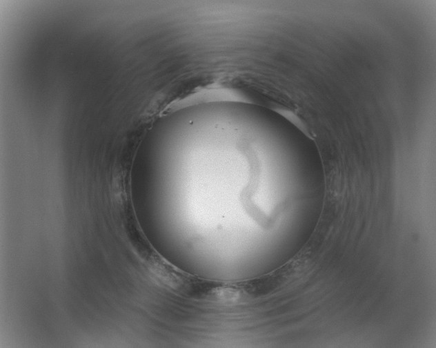 X0000063520272200602032118