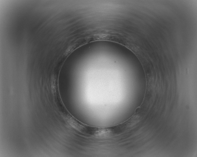 X0000063520274200602032118