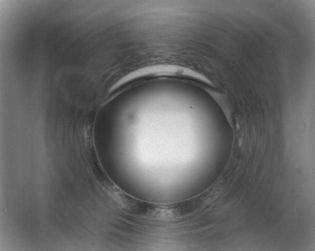 X0000063520276200602032118