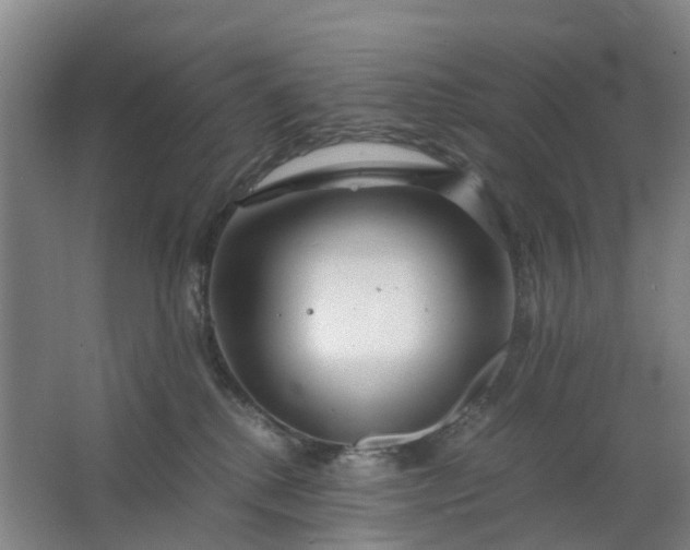 X0000063520280200602032118