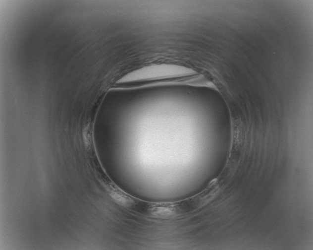 X0000063520285200602032118