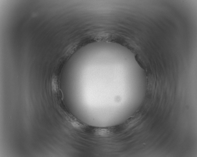 X0000063520287200602032118