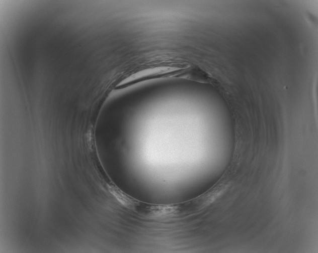 X0000063520288200602032118