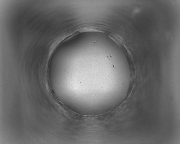 X0000063520289200602032117