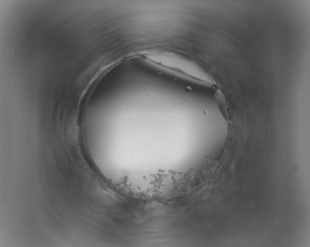 X0000063520290200602032117