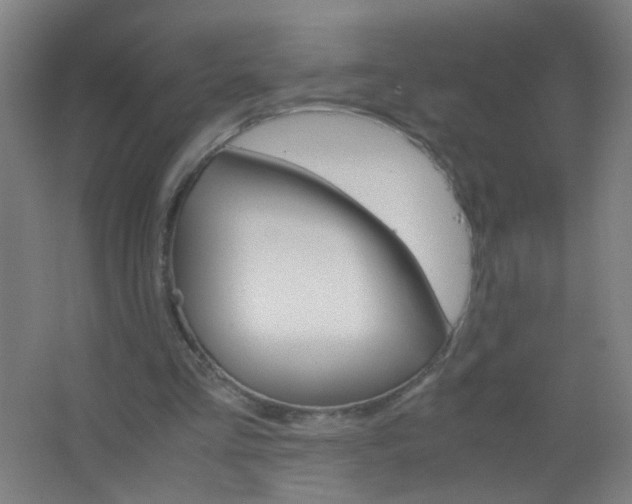 X0000063520293200602032117