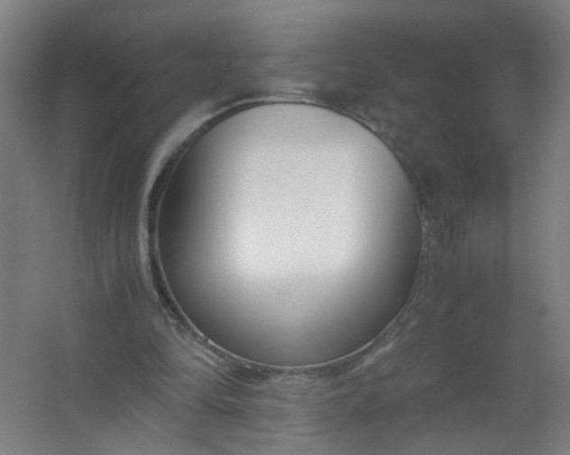 X0000063520294200602032117